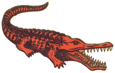 Krokodill Tšungel